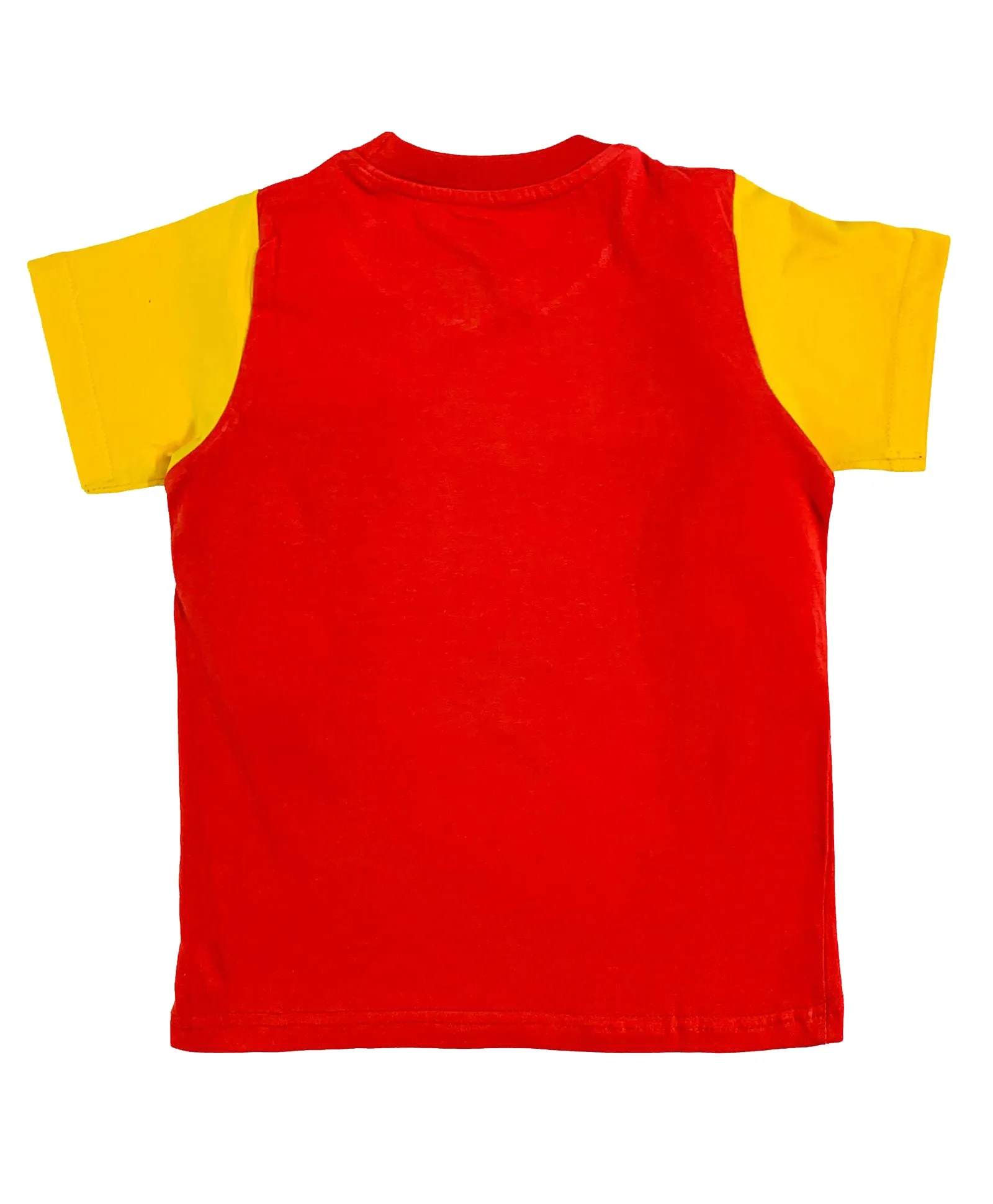 Boys Cotton T-Shirt with Print and Knee length Shorts Sets